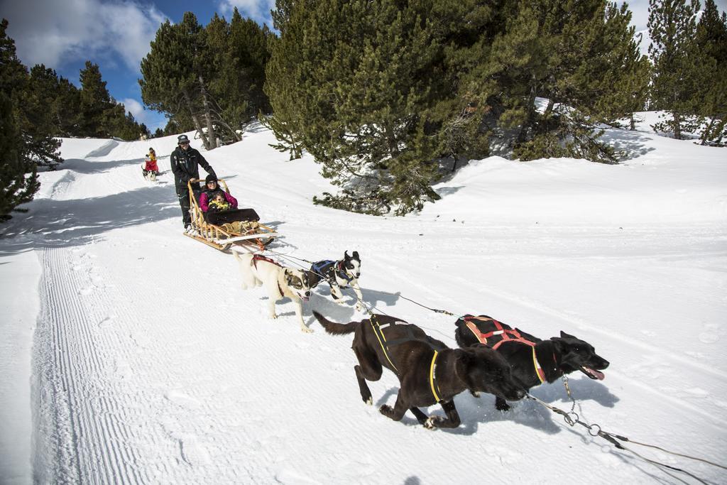 Vitivola Pleta Peu Del Riu Incles Daire Canillo Dış mekan fotoğraf